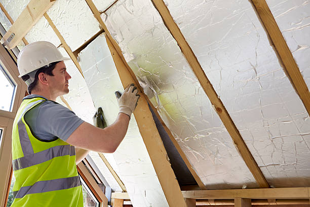 Best Affordable Insulation Services  in Homestead Meadows North, TX